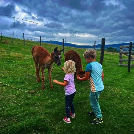 Çiftlik konaklama Zagroda Milkowskie *