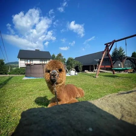 Çiftlik konaklama Zagroda Milkowskie *